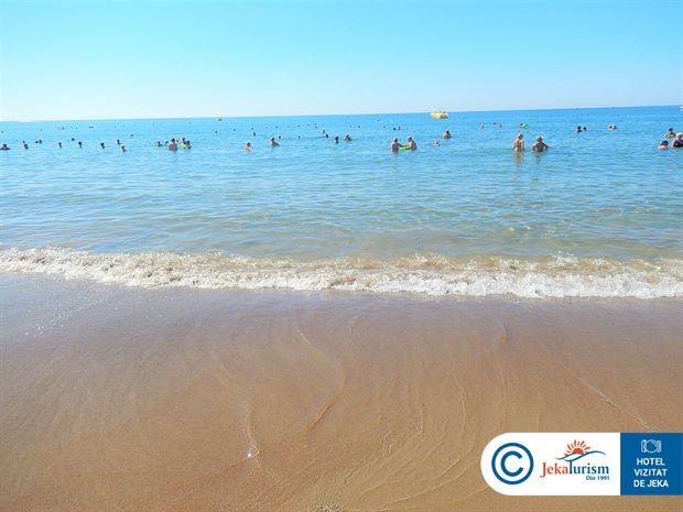 Poze Royal Dragon 17