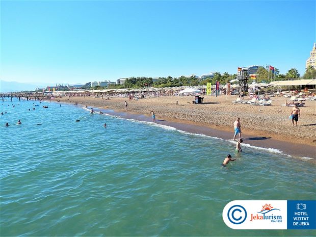 Poze Royal Seginus 18