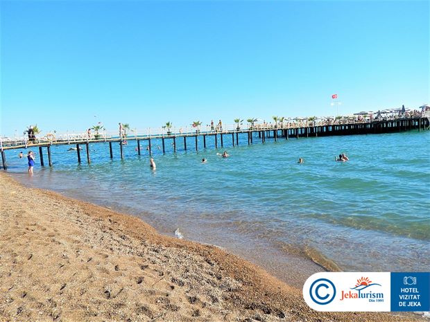 Poze Royal Seginus 19