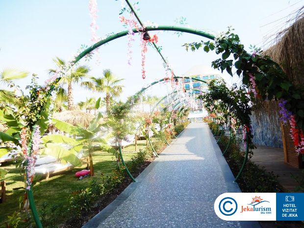 Poze Rubi Platinum Sign 21