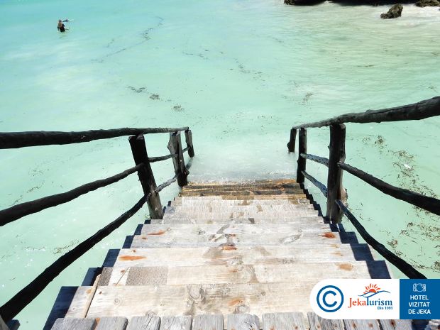 Poze Reef And Beach 15