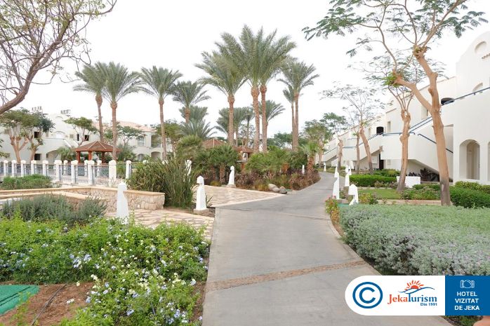 Poze Reef Oasis Blue Bay Resort & Spa 14