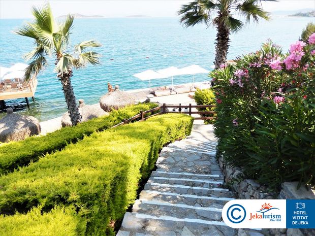 Poze Sarpedor Boutique 11