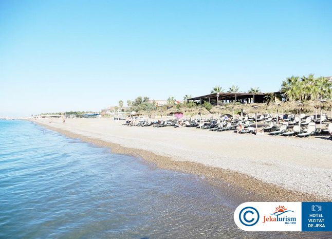 Poze Sherwood Blue 8