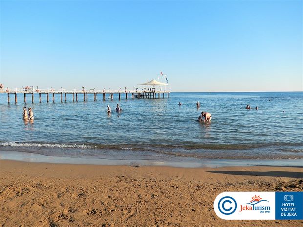 Poze Turan Prince 22