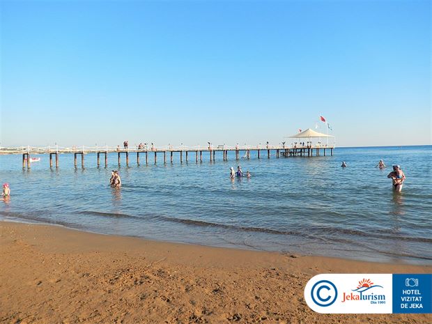 Poze Turan Prince 23