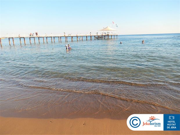 Poze Turan Prince 24