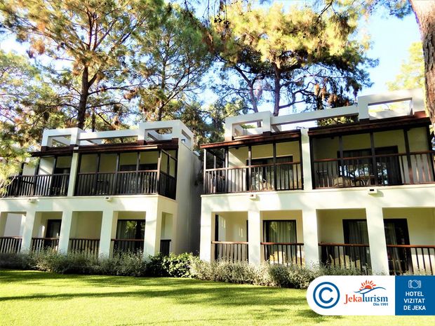 Poze Seven Seas Life 13