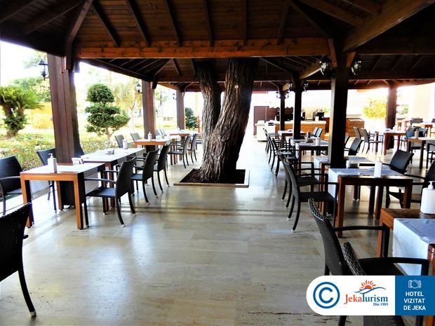 Poze Seven Seas Life 19