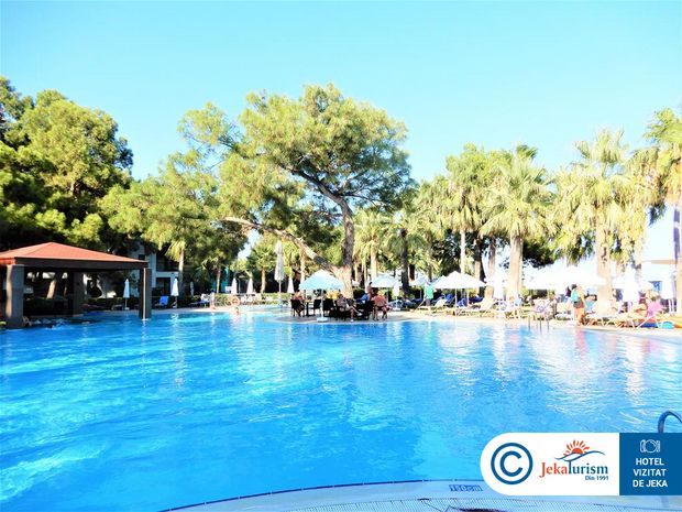 Poze Seven Seas Life 20