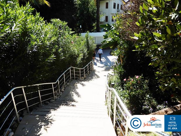 Poze Side Star Elegance 13