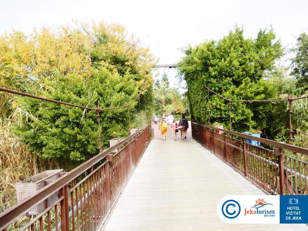 Poze Sunis Elita Beach Resort & Spa 26