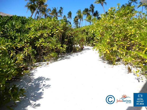 Poze Sensations Eco Chic Hotel 18