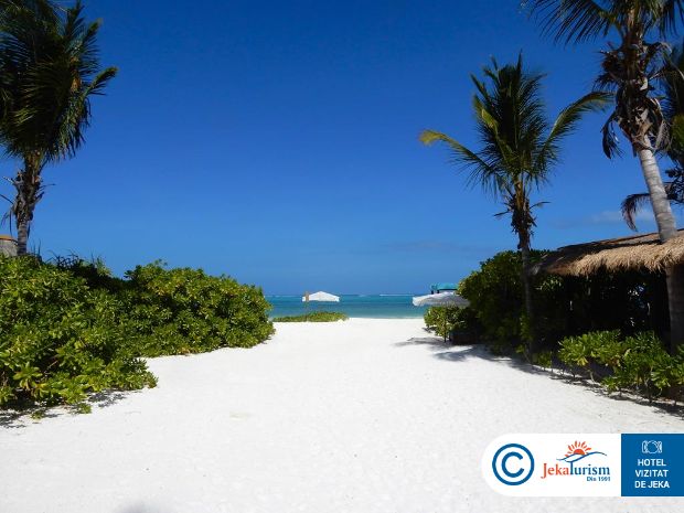 Poze Sensations Eco Chic Hotel 19