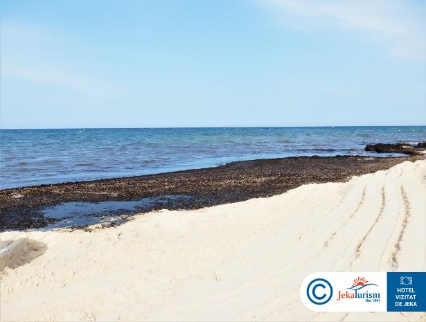 Poze Sentido Bellevue Park 13