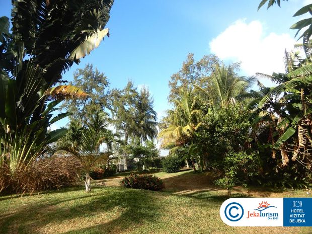 Poze Solana Beach 21