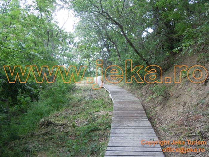 Poze The Cliff Beach And Spa 11