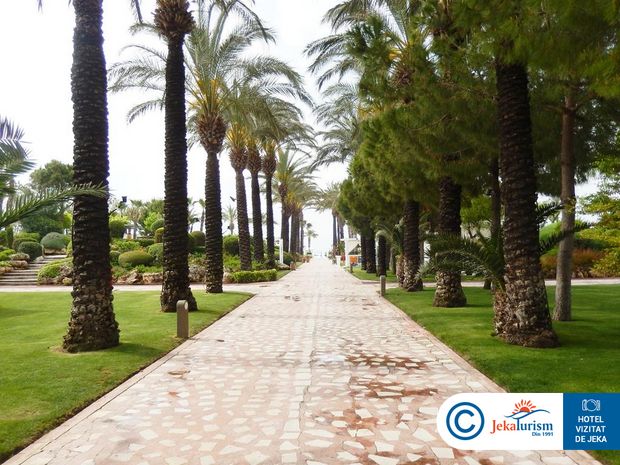 Poze Titanic Deluxe 8