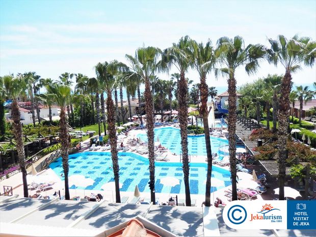 Poze Trendy Palm Beach 11