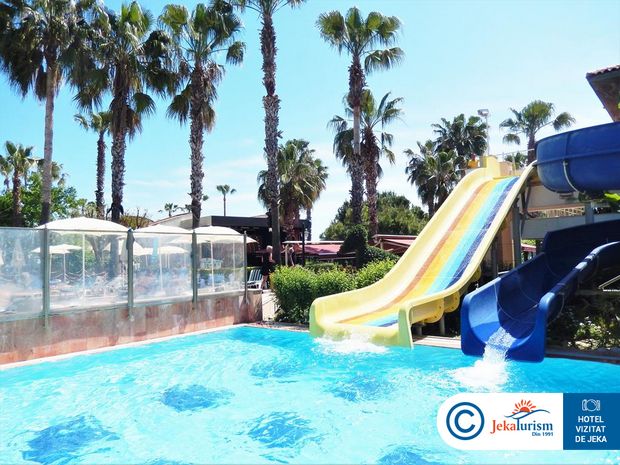 Poze Trendy Palm Beach 12