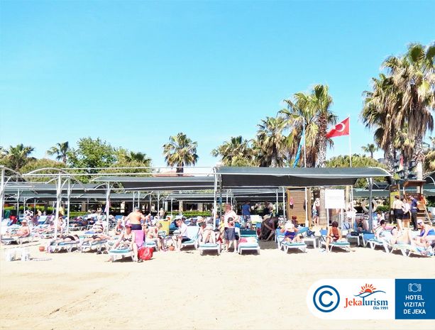 Poze Trendy Palm Beach 13