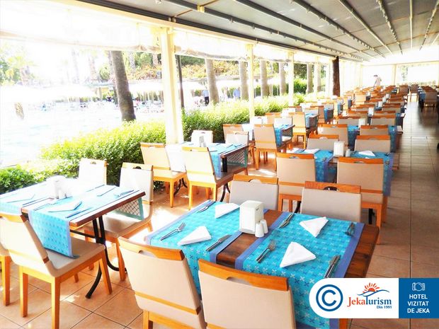 Poze Trendy Palm Beach 9