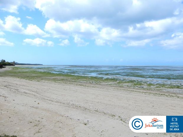 Poze The Residence 8