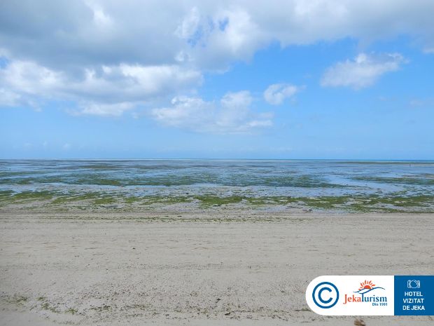 Poze The Residence 9