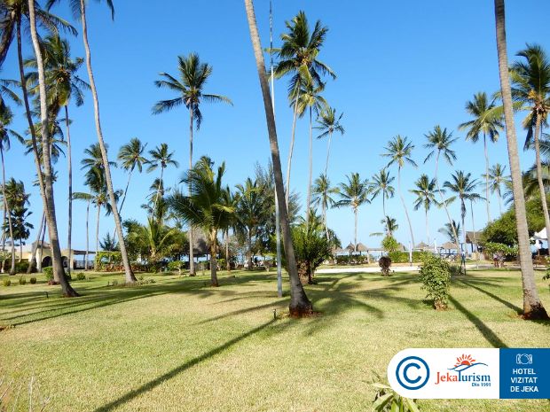 Poze Tui Blue Bahari 17