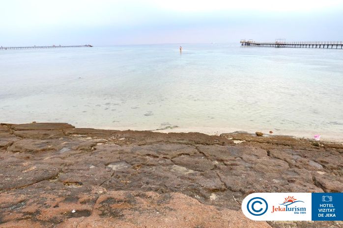 Poze Tui Magic Life Redsina 16