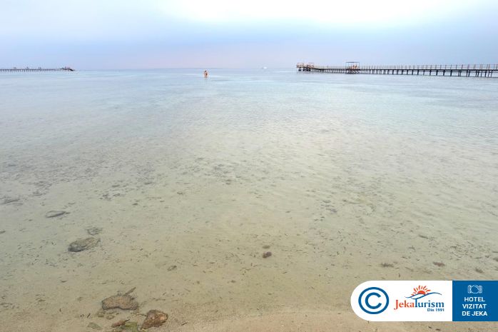 Poze Tui Magic Life Redsina 17