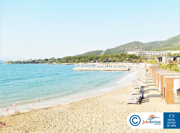 Poze Vogue Supreme 11