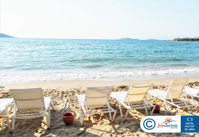 Poze Vogue Supreme 13