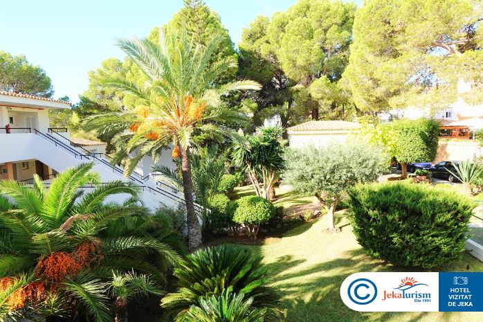 Poze Valentin Somni Hotel & Suites 15