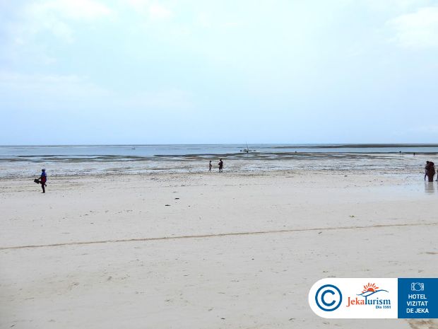 Poze Voi Kiwengwa Resort 15