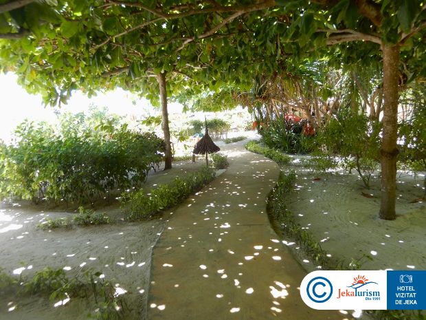 Poze Zanzibar Queen 13