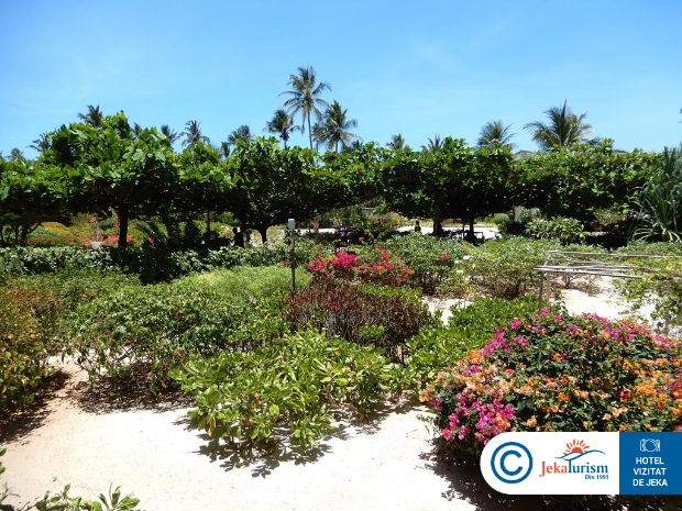 Poze Zanzibar Queen 6