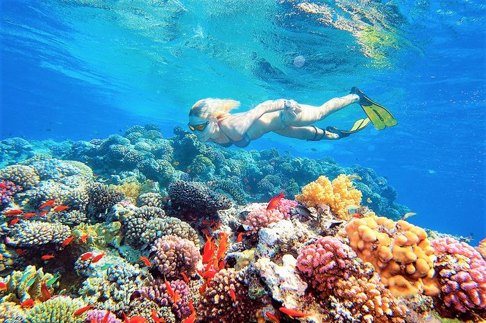 Royal Lagoons Resort & Aqua Park 11