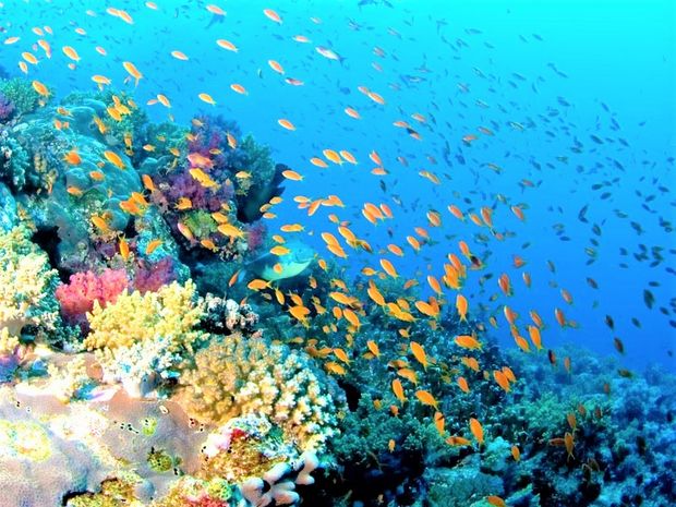 Royal Lagoons Resort & Aqua Park 12