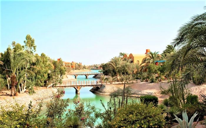 Sheraton Miramar El Gouna 8