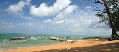 The Leaf On The Sands By Katathani 8