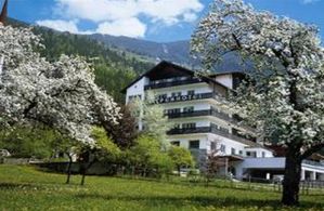 Hotel ALPENHOTEL OETZ OTZTAL