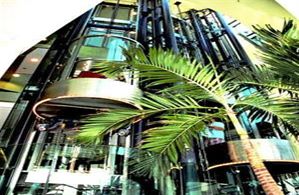Hotel ALPHA - PALMIERS LAUSANNE