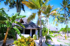 Hotel Blue Moon Resort Jambiani