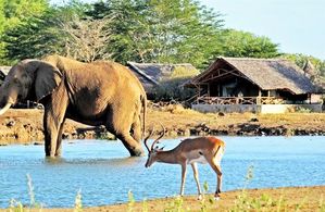 Hotel Safari Si Sejur Kenya Mombasa