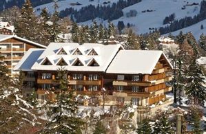 Hotel STEINMATTLI ADELBODEN