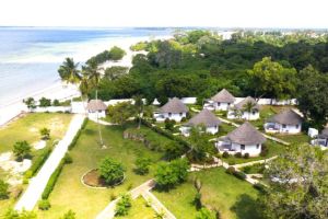 Hotel Antonio Beach Tree House Pongwe