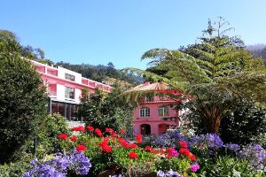 Hotel Bio  Quinta Da Serra Madeira