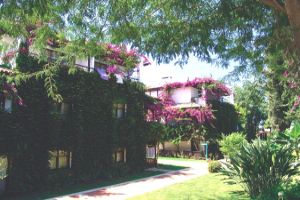 Hotel Club Titan Alanya