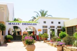 Hotel Dedalos Creta